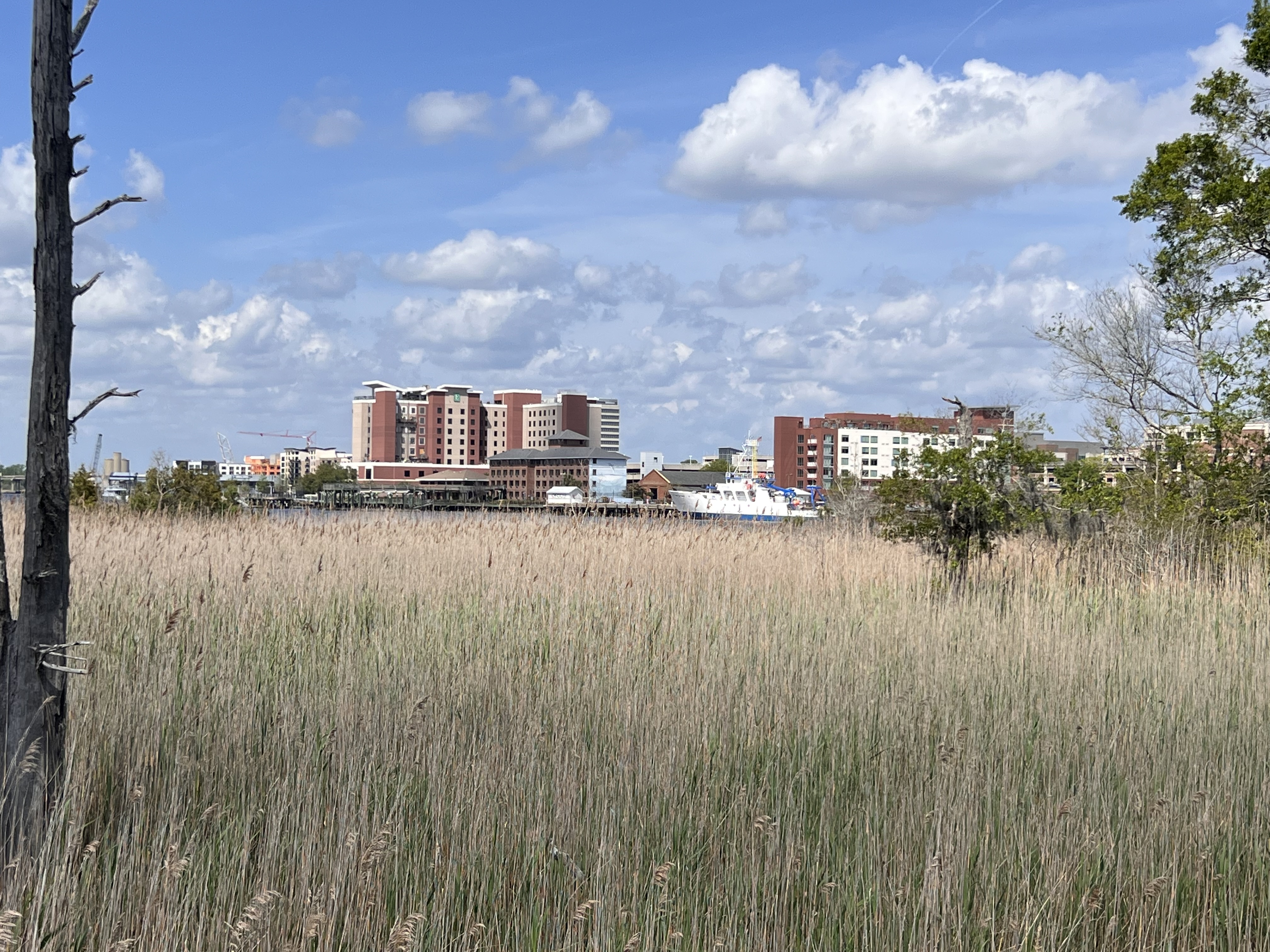 ./2023/05 - Toni Adventures/IMG_2784.JPG